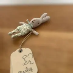 Item thumbnail for item 0e711e19-c569-4067-800e-896d091b42da