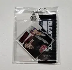 BLEACH EX. オリジナルレコードジャケットキーチェーンコレクション