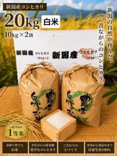 新生活応援 令和7年宮城県産ひとめぼれ玄米20kg(10kg×2)精米無料 一等