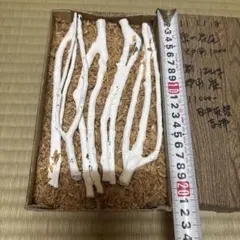 メルカリ市セール中✨️茶道具 最高傑作 風炉用道具炭 風炉木炭 国産