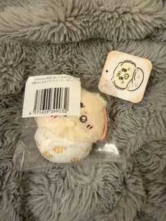 치이카와 Chiikawa Baby 봉제인형 쿠지 시사