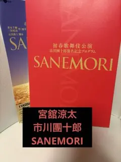 宮舘涼太　SANEMORIパンフレット+チラシ