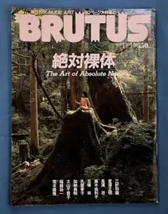 BRUTUS １９９２年１１月号