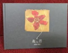 King Gnu CEN+RAL Tour 2026 ねっこ 原画集 - メルカリ