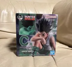 HUNTER x HUNTER C賞 3D MASTERLIZE ゴン