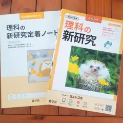 Item thumbnail for item 3beba3a5-f34a-4aa5-9122-50b69c61fc66