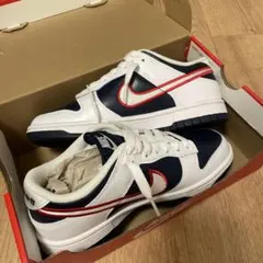 Nike Dunk Low '00 ホワイト/ネイビー/レッド