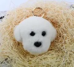 チアリータ様 リクエスト 2点 まとめ商品