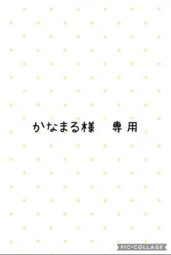 かなまる様専用