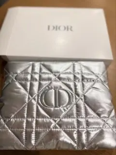 Dior ディオール ポーチ シルバー クラッチバッグ