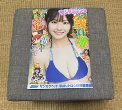 Item thumbnail for item 4608d159-2313-42bb-a5e4-49b6d7a10766