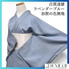 A5 単衣 京加賀友禅 百貫達雄監修 藤鼠色 色無地 縮緬 正絹 着物 K12 加賀友禅 百貫達雄 色無地 紋意匠 正絹 華紋 洒落紋 葡萄 紫 淡