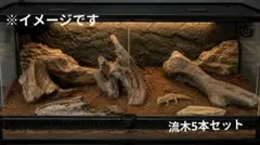 天然流木 5本セット 爬虫類 レイアウト インテリア素材 G-3のサムネイル