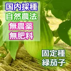 ぶーくん様 リクエスト 3点 まとめ商品