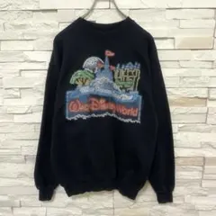 Walt Disney Worldウォルトディズニー スウェット ヴィンテージ