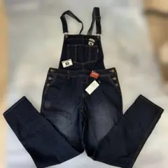 Item thumbnail for item e1eeb2ed-404f-4209-9678-d4fa83824460