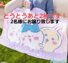 新品未開封 超BIG マイヤーブランケット ちいかわ × ハチワレ × うさぎ
