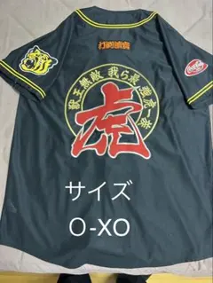 福井ワイルドラプターズ 実使用 ユニホーム 2XO 福井ワイルドラプターズ 実使用 ユニホーム 2XO - メルカリ