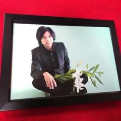 2026年最新】ポスター エレファントカシマシの人気アイテム - メルカリ