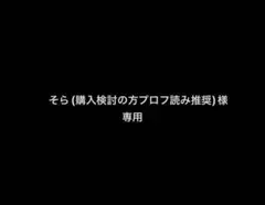 そら(購入検討の方プロフ読み推奨)様 専用
