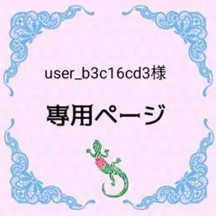 user_b3c16cd3様　専用ページ