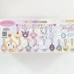 サンリオ　いちご新聞50周年記念 フォトバッチ付きマスコット　ポチャッコ