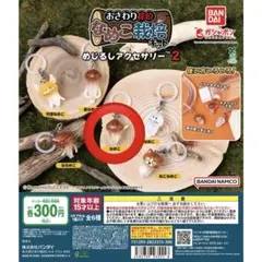 ガチャ　なめこ栽培キット めじるしアクセサリー2 なめこ