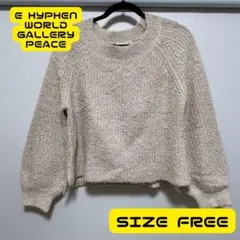 E hyphen world gallery PEACE　ニットトップス
