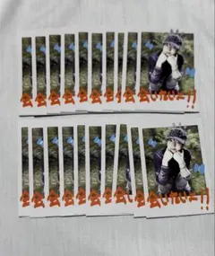 &TEAM EJ ウィジュ BacktoLife BtL mini インスタント