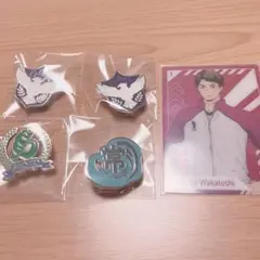 ハイキュー スクールアイコン ピンズ B