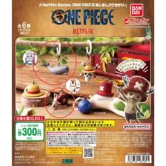 A Netflix Series: ONE PIECE めじるしアクセサリー
