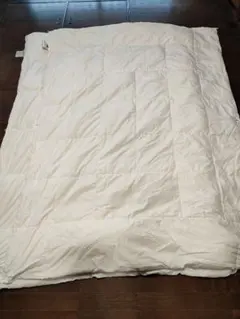 2025年最新】ニトリ 羽毛布団 2枚合わせの人気アイテム - メルカリ