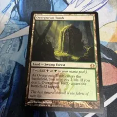MTG サイクロンの裂け目 英語/日本語 4枚セット ミントモール / MINT GAMES MTG(東日本橋) / 【RVR】【JPN】【Foil