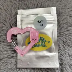 チャンビン アイドル