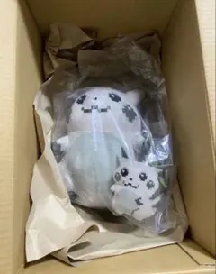 はじまりのピカチュウ　セット　ポケモン30周年