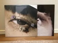 カネコアヤノ レコード　セット 2025年最新】カネコアヤノ レコードの人気アイテム - メルカリ