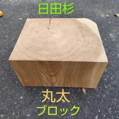 Item thumbnail for item b04c6b5b-30f3-47a8-a2fe-4875b0f1bae1