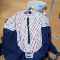 THE NORTH FACE TEAL LUS20 リュック