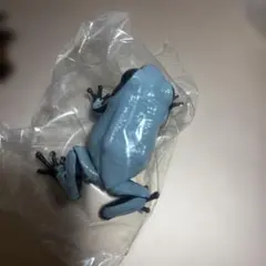 いきもの大図鑑レプティ　ヤドクガエル