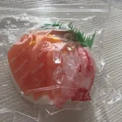 刺身 スクイーズ
