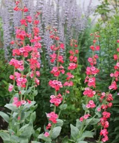 ynztangon様 リクエスト 3点 まとめ商品