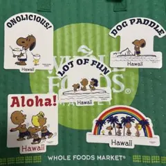 ハワイ　モニ　日焼けスヌーピー　ワッペン　シール　5枚セットのサムネイル