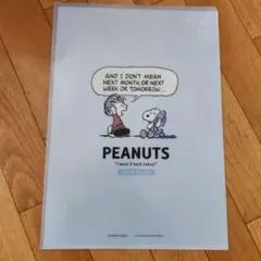 PEANUTS A4クリアファイル