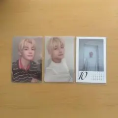 &TEAM JO ジョー シーグリ トレカ セット