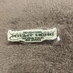 SEVENTEEN RIGHT HERE WORLD TOUR ラバーバンド