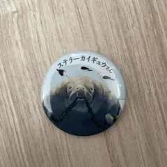 缶バッジ ステラーカイギュウさん
