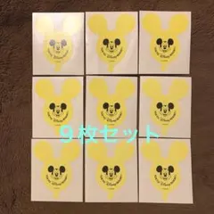 ディズニーリゾート　バルーンシール　９枚