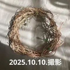 あさがお　#リース　ナチュラル　約22センチ　クリスマス　ハンドメイド　乾燥中