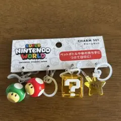 スーパーマリオ　チャームセット　新品　USJ限定