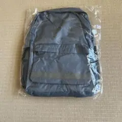 グレーのポリエステルバックパック